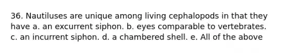 36. Nautiluses are unique among living cephalopods in that they have a. an excurrent siphon. b. eyes comparable to vertebrates. c. an incurrent siphon. d. a chambered shell. e. All of the above