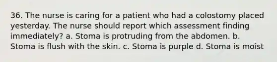 36. The nurse is caring for a patient who had a colostomy placed yesterday. The nurse should report which assessment finding immediately? a. Stoma is protruding from the abdomen. b. Stoma is flush with the skin. c. Stoma is purple d. Stoma is moist