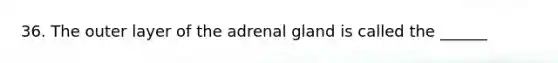 36. The outer layer of the adrenal gland is called the ______