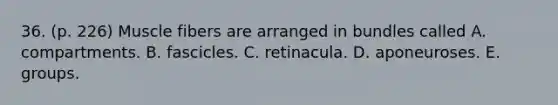 36. (p. 226) Muscle fibers are arranged in bundles called A. compartments. B. fascicles. C. retinacula. D. aponeuroses. E. groups.