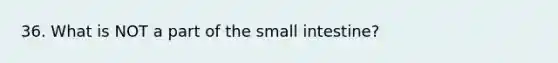 36. What is NOT a part of the small intestine?