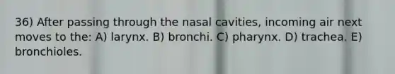 36) After passing through the nasal cavities, incoming air next moves to the: A) larynx. B) bronchi. C) pharynx. D) trachea. E) bronchioles.