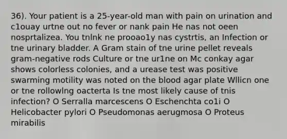 36). Your patient is a 25-year-old man with pain on urination and c1ouay urtne out no fever or nank pain He nas not oeen nosprtalizea. You tnlnk ne prooao1y nas cystrtis, an Infection or tne urinary bladder. A Gram stain of tne urine pellet reveals gram-negative rods Culture or tne ur1ne on Mc conkay agar shows colorless colonies, and a urease test was positive swarming motility was noted on the blood agar plate Wllicn one or tne rollowlng oacterta Is tne most likely cause of tnis infection? O Serralla marcescens O Eschenchta co1i O Helicobacter pylori O Pseudomonas aerugmosa O Proteus mirabilis