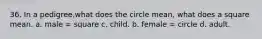 36. In a pedigree,what does the circle mean, what does a square mean. a. male = square c. child. b. female = circle d. adult.