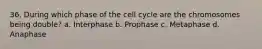 36. During which phase of the cell cycle are the chromosomes being double? a. Interphase b. Prophase c. Metaphase d. Anaphase