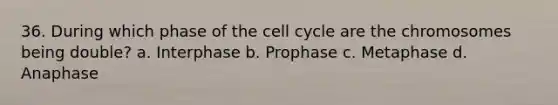 36. During which phase of the cell cycle are the chromosomes being double? a. Interphase b. Prophase c. Metaphase d. Anaphase