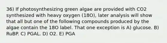 36) If photosynthesizing green algae are provided with CO2 synthesized with heavy oxygen (18O), later analysis will show that all but one of the following compounds produced by the algae contain the 18O label. That one exception is A) glucose. B) RuBP. C) PGAL. D) O2. E) PGA