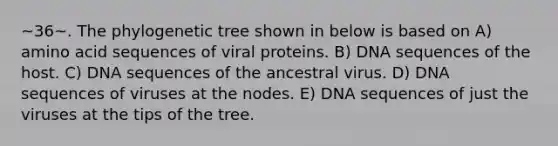 ~36~. The phylogenetic tree shown in below is based on A) amino acid sequences of viral proteins. B) DNA sequences of the host. C) DNA sequences of the ancestral virus. D) DNA sequences of viruses at the nodes. E) DNA sequences of just the viruses at the tips of the tree.