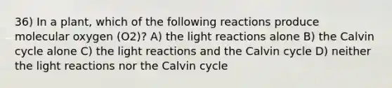 36) In a plant, which of the following reactions produce molecular oxygen (O2)? A) the light reactions alone B) the Calvin cycle alone C) the light reactions and the Calvin cycle D) neither the light reactions nor the Calvin cycle