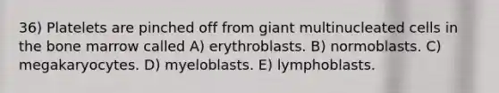 36) Platelets are pinched off from giant multinucleated cells in the bone marrow called A) erythroblasts. B) normoblasts. C) megakaryocytes. D) myeloblasts. E) lymphoblasts.