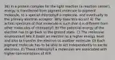 36) In a protein complex for the light reaction (a reaction center), energy is transferred from pigment molecule to pigment molecule, to a special chlorophyll a molecule, and eventually to the primary electron acceptor. Why does this occur? A) The action spectrum of that molecule is such that it is different from other molecules of chlorophyll. B) The potential energy of the electron has to go back to the ground state. C) The molecular environment lets it boost an electron to a higher energy level and also to transfer the electron to another molecule. D) Each pigment molecule has to be able to act independently to excite electrons. E) These chlorophyll a molecules are associated with higher concentrations of ATP.