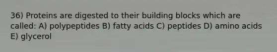 36) Proteins are digested to their building blocks which are called: A) polypeptides B) fatty acids C) peptides D) amino acids E) glycerol