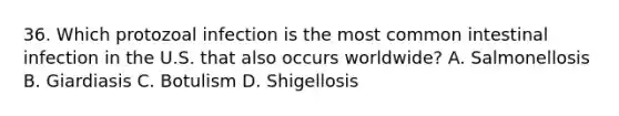 36. Which protozoal infection is the most common intestinal infection in the U.S. that also occurs worldwide? A. Salmonellosis B. Giardiasis C. Botulism D. Shigellosis