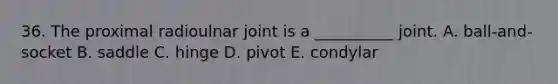 36. The proximal radioulnar joint is a __________ joint. A. ball-and-socket B. saddle C. hinge D. pivot E. condylar