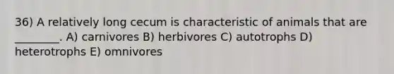 36) A relatively long cecum is characteristic of animals that are ________. A) carnivores B) herbivores C) autotrophs D) heterotrophs E) omnivores