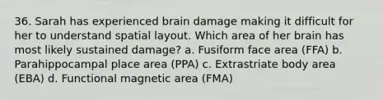 36. Sarah has experienced brain damage making it difficult for her to understand spatial layout. Which area of her brain has most likely sustained damage? a. Fusiform face area (FFA) b. Parahippocampal place area (PPA) c. Extrastriate body area (EBA) d. Functional magnetic area (FMA)