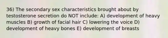 36) The secondary sex characteristics brought about by testosterone secretion do NOT include: A) development of heavy muscles B) growth of facial hair C) lowering the voice D) development of heavy bones E) development of breasts