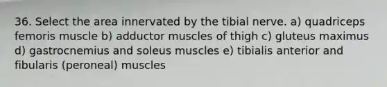 36. Select the area innervated by the tibial nerve. a) quadriceps femoris muscle b) adductor muscles of thigh c) gluteus maximus d) gastrocnemius and soleus muscles e) tibialis anterior and fibularis (peroneal) muscles