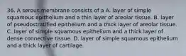 36. A serous membrane consists of a A. layer of simple squamous epithelium and a thin layer of areolar tissue. B. layer of pseudostratified epithelium and a thick layer of areolar tissue. C. layer of simple squamous epithelium and a thick layer of dense connective tissue. D. layer of simple squamous epithelium and a thick layer of cartilage.