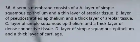 36. A serous membrane consists of a A. layer of simple squamous epithelium and a thin layer of areolar tissue. B. layer of pseudostratified epithelium and a thick layer of areolar tissue. C. layer of simple squamous epithelium and a thick layer of dense connective tissue. D. layer of simple squamous epithelium and a thick layer of cartilage.