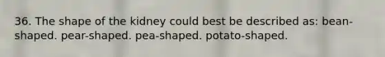 36. The shape of the kidney could best be described as: bean-shaped. pear-shaped. pea-shaped. potato-shaped.