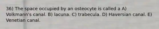 36) The space occupied by an osteocyte is called a A) Volkmann's canal. B) lacuna. C) trabecula. D) Haversian canal. E) Venetian canal.