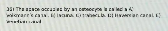 36) <a href='https://www.questionai.com/knowledge/k0Lyloclid-the-space' class='anchor-knowledge'>the space</a> occupied by an osteocyte is called a A) Volkmannʹs canal. B) lacuna. C) trabecula. D) Haversian canal. E) Venetian canal.