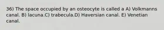 36) The space occupied by an osteocyte is called a A) Volkmanns canal. B) lacuna.C) trabecula.D) Haversian canal. E) Venetian canal.