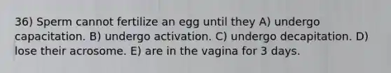 36) Sperm cannot fertilize an egg until they A) undergo capacitation. B) undergo activation. C) undergo decapitation. D) lose their acrosome. E) are in the vagina for 3 days.