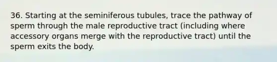 36. Starting at the seminiferous tubules, trace the pathway of sperm through the male reproductive tract (including where accessory organs merge with the reproductive tract) until the sperm exits the body.