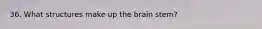 36. What structures make up the brain stem?