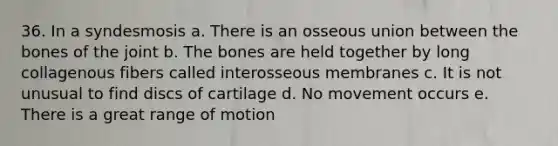 36. In a syndesmosis a. There is an osseous union between the bones of the joint b. The bones are held together by long collagenous fibers called interosseous membranes c. It is not unusual to find discs of cartilage d. No movement occurs e. There is a great range of motion