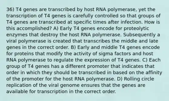 36) T4 genes are transcribed by host RNA polymerase, yet the transcription of T4 genes is carefully controlled so that groups of T4 genes are transcribed at specific times after infection. How is this accomplished? A) Early T4 genes encode for proteolytic enzymes that destroy the host RNA polymerase. Subsequently a viral polymerase is created that transcribes the middle and late genes in the correct order. B) Early and middle T4 genes encode for proteins that modify the activity of sigma factors and host RNA polymerase to regulate the expression of T4 genes. C) Each group of T4 genes has a different promoter that indicates that order in which they should be transcribed in based on the affinity of the promoter for the host RNA polymerase. D) Rolling circle replication of the viral genome ensures that the genes are available for transcription in the correct order.