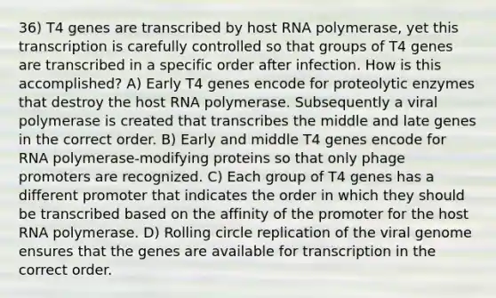 36) T4 genes are transcribed by host RNA polymerase, yet this transcription is carefully controlled so that groups of T4 genes are transcribed in a specific order after infection. How is this accomplished? A) Early T4 genes encode for proteolytic enzymes that destroy the host RNA polymerase. Subsequently a viral polymerase is created that transcribes the middle and late genes in the correct order. B) Early and middle T4 genes encode for RNA polymerase-modifying proteins so that only phage promoters are recognized. C) Each group of T4 genes has a different promoter that indicates the order in which they should be transcribed based on the affinity of the promoter for the host RNA polymerase. D) Rolling circle replication of the viral genome ensures that the genes are available for transcription in the correct order.