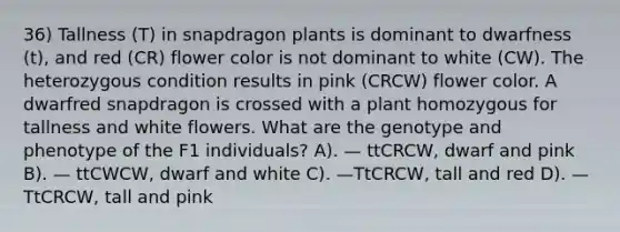 36) Tallness (T) in snapdragon plants is dominant to dwarfness (t), and red (CR) flower color is not dominant to white (CW). The heterozygous condition results in pink (CRCW) flower color. A dwarfred snapdragon is crossed with a plant homozygous for tallness and white flowers. What are the genotype and phenotype of the F1 individuals? A). — ttCRCW, dwarf and pink B). — ttCWCW, dwarf and white C). —TtCRCW, tall and red D). —TtCRCW, tall and pink