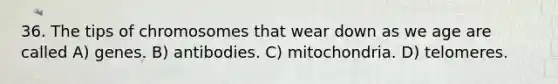 36. The tips of chromosomes that wear down as we age are called A) genes. B) antibodies. C) mitochondria. D) telomeres.