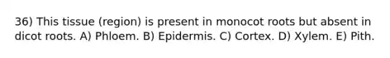 36) This tissue (region) is present in monocot roots but absent in dicot roots. A) Phloem. B) Epidermis. C) Cortex. D) Xylem. E) Pith.