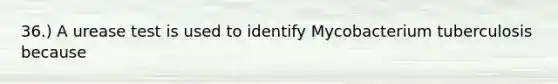 36.) A urease test is used to identify Mycobacterium tuberculosis because