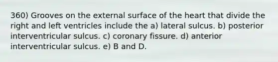 360) Grooves on the external surface of the heart that divide the right and left ventricles include the a) lateral sulcus. b) posterior interventricular sulcus. c) coronary fissure. d) anterior interventricular sulcus. e) B and D.