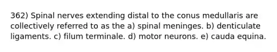 362) Spinal nerves extending distal to the conus medullaris are collectively referred to as the a) spinal meninges. b) denticulate ligaments. c) filum terminale. d) motor neurons. e) cauda equina.