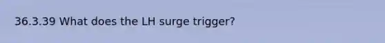 36.3.39 What does the LH surge trigger?