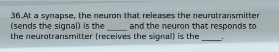 36.At a synapse, the neuron that releases the neurotransmitter (sends the signal) is the _____ and the neuron that responds to the neurotransmitter (receives the signal) is the _____.