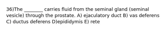 36)The ________ carries fluid from the seminal gland (seminal vesicle) through the prostate. A) ejaculatory duct B) vas deferens C) ductus deferens D)epididymis E) rete