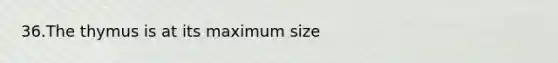 36.The thymus is at its maximum size