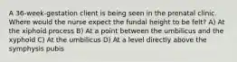 A 36-week-gestation client is being seen in the prenatal clinic. Where would the nurse expect the fundal height to be felt? A) At the xiphoid process B) At a point between the umbilicus and the xyphoid C) At the umbilicus D) At a level directly above the symphysis pubis