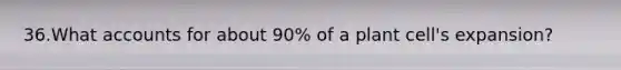 36.What accounts for about 90% of a plant cell's expansion?