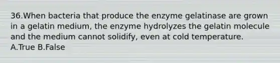 36.When bacteria that produce the enzyme gelatinase are grown in a gelatin medium, the enzyme hydrolyzes the gelatin molecule and the medium cannot solidify, even at cold temperature. A.True B.False