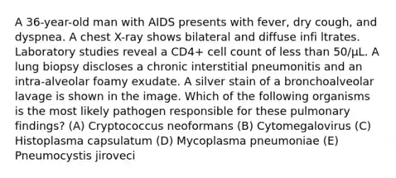 A 36-year-old man with AIDS presents with fever, dry cough, and dyspnea. A chest X-ray shows bilateral and diffuse infi ltrates. Laboratory studies reveal a CD4+ cell count of less than 50/μL. A lung biopsy discloses a chronic interstitial pneumonitis and an intra-alveolar foamy exudate. A silver stain of a bronchoalveolar lavage is shown in the image. Which of the following organisms is the most likely pathogen responsible for these pulmonary findings? (A) Cryptococcus neoformans (B) Cytomegalovirus (C) Histoplasma capsulatum (D) Mycoplasma pneumoniae (E) Pneumocystis jiroveci