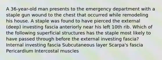 A 36-year-old man presents to the emergency department with a staple gun wound to the chest that occurred while remodeling his house. A staple was found to have pierced the external (deep) investing fascia anteriorly near his left 10th rib. Which of the following superficial structures has the staple most likely to have passed through before the external investing fascia? Internal investing fascia Subcutaneous layer Scarpa's fascia Pericardium Intercostal muscles