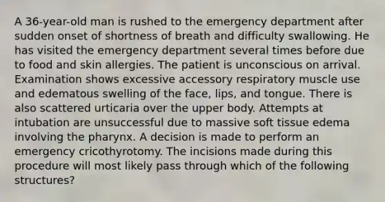 A 36-year-old man is rushed to the emergency department after sudden onset of shortness of breath and difficulty swallowing. He has visited the emergency department several times before due to food and skin allergies. The patient is unconscious on arrival. Examination shows excessive accessory respiratory muscle use and edematous swelling of the face, lips, and tongue. There is also scattered urticaria over the upper body. Attempts at intubation are unsuccessful due to massive soft tissue edema involving the pharynx. A decision is made to perform an emergency cricothyrotomy. The incisions made during this procedure will most likely pass through which of the following structures?